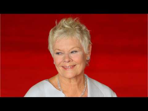 VIDEO : These Celebrities Have Been Awarded Knighthood Or Damehood By Great Britain