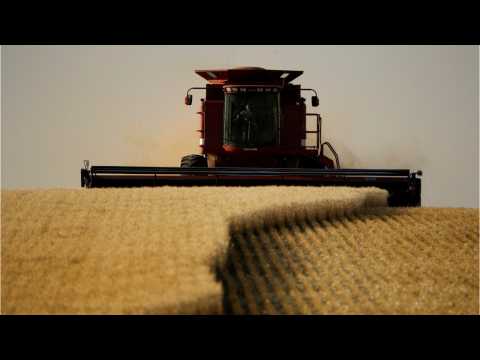 VIDEO : Agriculture Department Hiding Negative Effects Of Climate Change