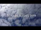 Résumé vidéo des Ailes bleues 2019