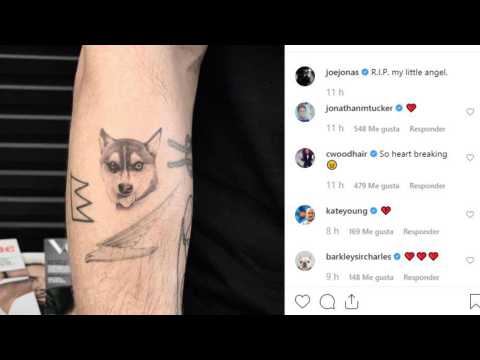 VIDEO : Joe Jonas y Sophie Turner se tatan a Waldo, su perro fallecido