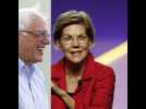 Primaire démocrate aux Etats-Unis: Warren et Sanders en veulent à Donald Trump