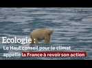 Ecologie : Le Haut conseil pour le climat appelle la France à revoir son action