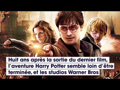 VIDEO : Une srie tire de l'univers Harry Potter est en prparation