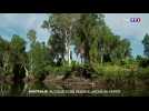 Le parc national de Kakadu : au coeur d'une réserve unique au monde
