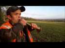 Près de Parthenay. Reportage pendant une chasse aux chevreuils.