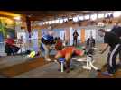 Sport : compétition de force athlétique à Péronne