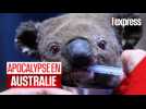 Incendies en Australie : des scènes d'apocalypse