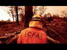 Incendies en Australie : Chris Hemsworth fait un énorme don et lance un appel sur Instagram