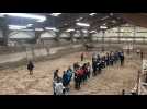 Formation régionale de juges de chevaux de sport