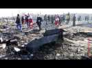 Iran : 176 morts dans le crash d'un Boeing 737 d'Ukraine Airlines
