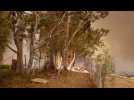 Incendies en Australie : L'armée intervient