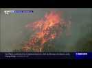 Australie: incendies XXL - 04/01