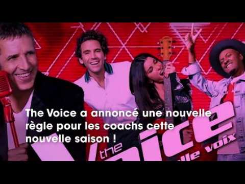 VIDEO : The Voice  une nouveaut majeure pour les coachs dans la nouvelle saison