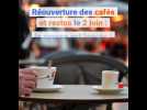 Teaser : réouverture des cafés et restaurants de la métropole lilloise