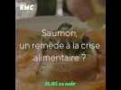 Le saumon, un remède à la crise alimentaire ?