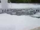 Attaque à la mousse dans une fontaine à Epernay