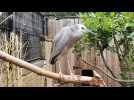 Le zoo de Lille prêt pour sa réouverture