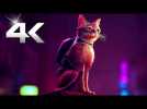 STRAY Bande Annonce 4K (2021) PS5