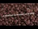 6 bénéfices du chocolat sur la santé