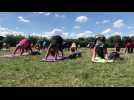 Reprise des cours de Yoga à la Citadelle