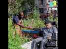 Ce jardinier de Brooklyn fait pousser des légumes pour nourrir les pauvres