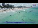 VIDEO - Explosion des cas de covid en Floride : explications
