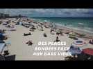 Coronavirus: les bars referment en Floride, les plages restent elles bondées