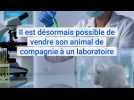 Selon 30 Millions d'amis, il est maintenant possible de vendre son animal de compagnie à un laboratoire