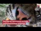 Réouverture du zoo d'Amiens