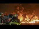 France : après l'incendie de Lubrizol, l'État montré du doigt par le Sénat