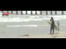 Coronavirus : Les plages de Los Angeles seront fermées pour la Fête Nationale (vidéo)