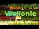 #demainwallonie : report 2 - les épiceries coopératives