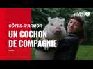 Manon et Gustave, son cochon de compagnie