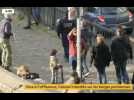 Déconfinement : des attroupements le long du Canal Saint-Martin à Paris, la police intervient (vidéo)