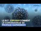 Covid-19 : une expérience illustre la transmission du virus lors d'un repas