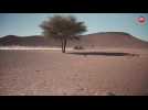 Con la Honda Africa Twin, de ruta por Marruecos
