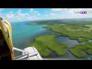 À la découverte de la mangrove guadeloupéenne