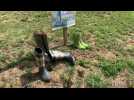 Manifestation d'agriculteur ''J''en ai plein les bottes!' à Corbaix
