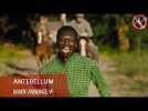 ANTEBELLUM - Bande-annonce VF