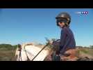 Les ranchs se remettent en selle en Camargue