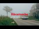 Hécatombe sur les routes de l'Aube