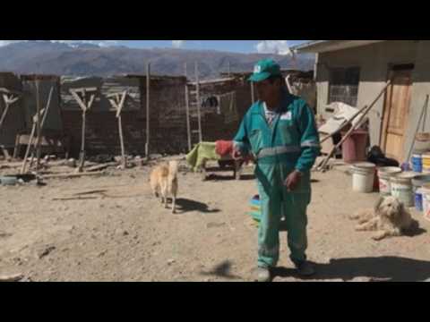 VIDEO : Miguel ngel, el boliviano que salva animales abandonados en la basura