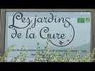 Le jardin de la Cure