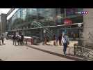 Annulation trains