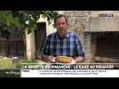 Le cake au fromage