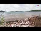 Zoom sur les lagunes secrètes de Corse