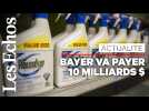 Glyphosate : Bayer va payer 10 milliards de dollars pour solder des litiges liés au Round'up