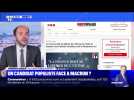 Un candidat populiste face à Macron ? - 23/06