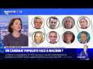 Un candidat populiste face à Macron ? (2) - 23/06