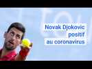 Tennis: Novak Djokovic positif au coronavirus